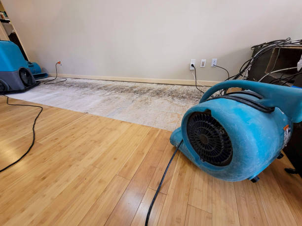 Professional Basement Flood Cleanup technician working in Carson, WA